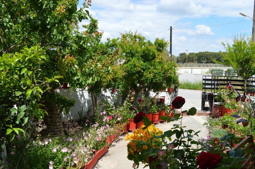 Nancy Rooms Skala Kallonis Exterior photo
